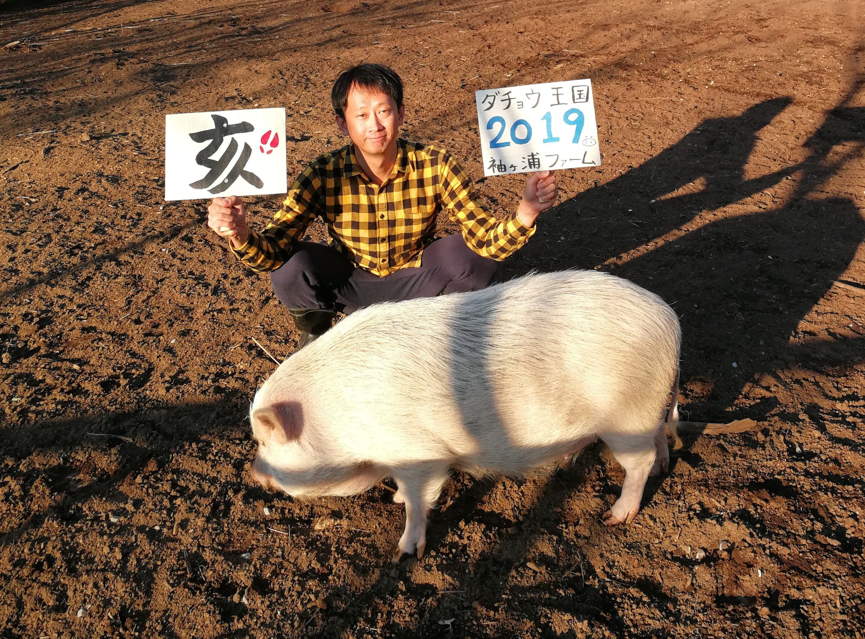 千葉にあるダチョウ王国を訪れるべき3つの理由